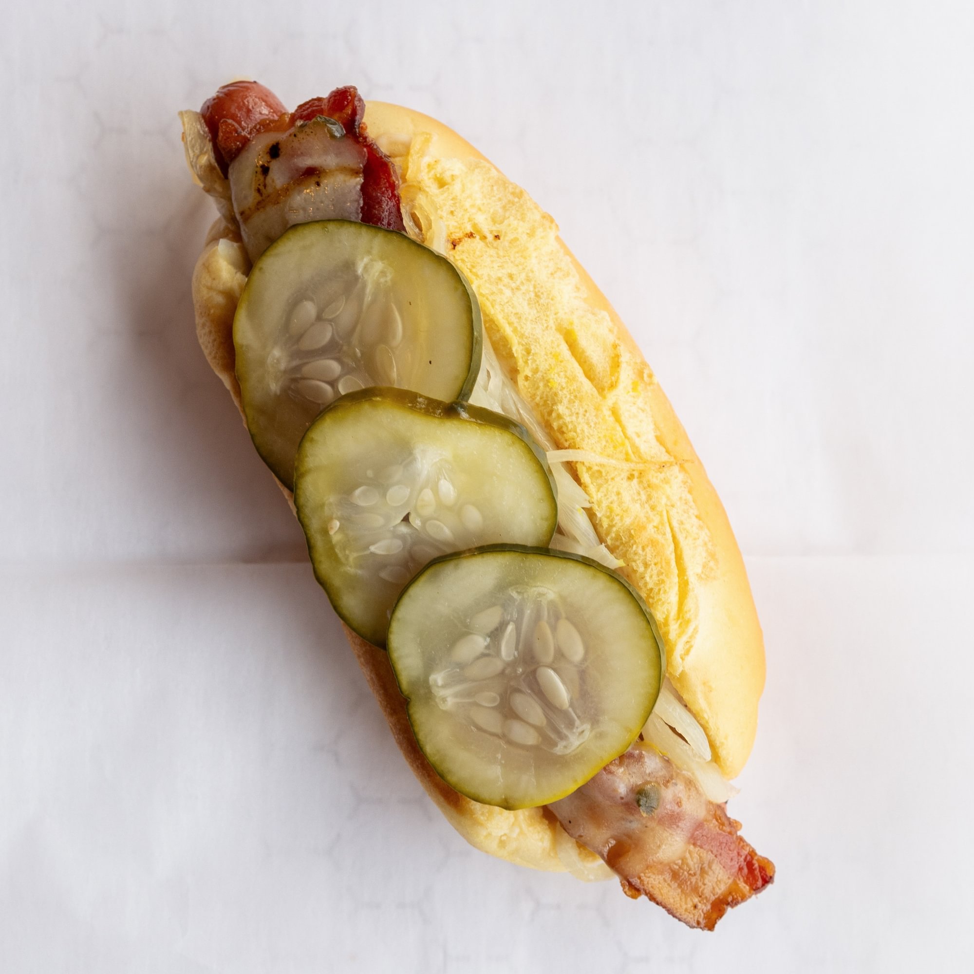 PBRDog