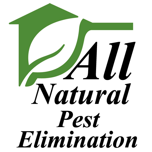 All Natural Pest Elimination Image