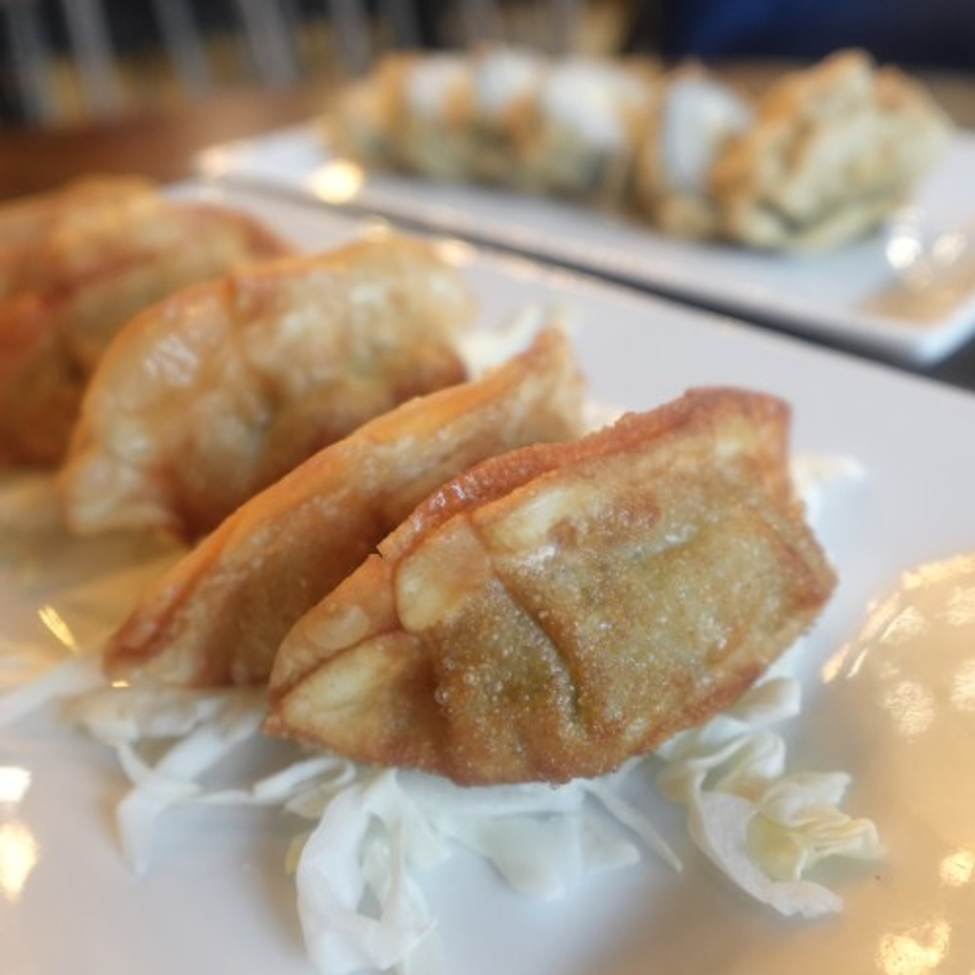 Gyoza