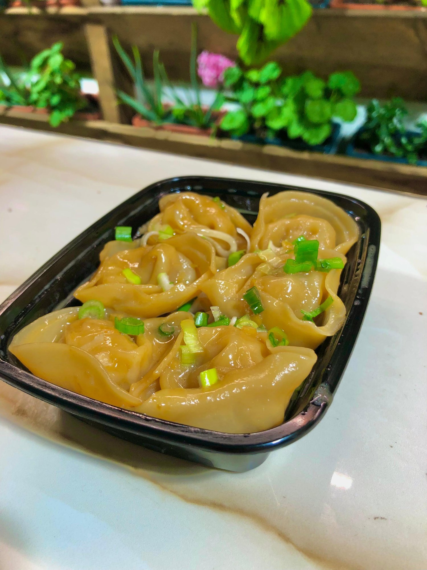 Shrimp Wontons