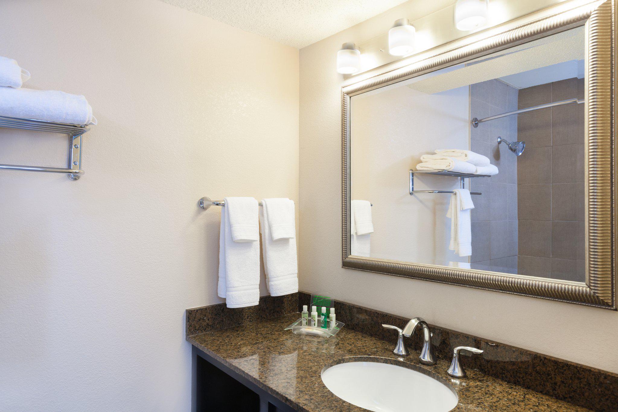 Holiday Inn Metairie New Orleans Airport Photo