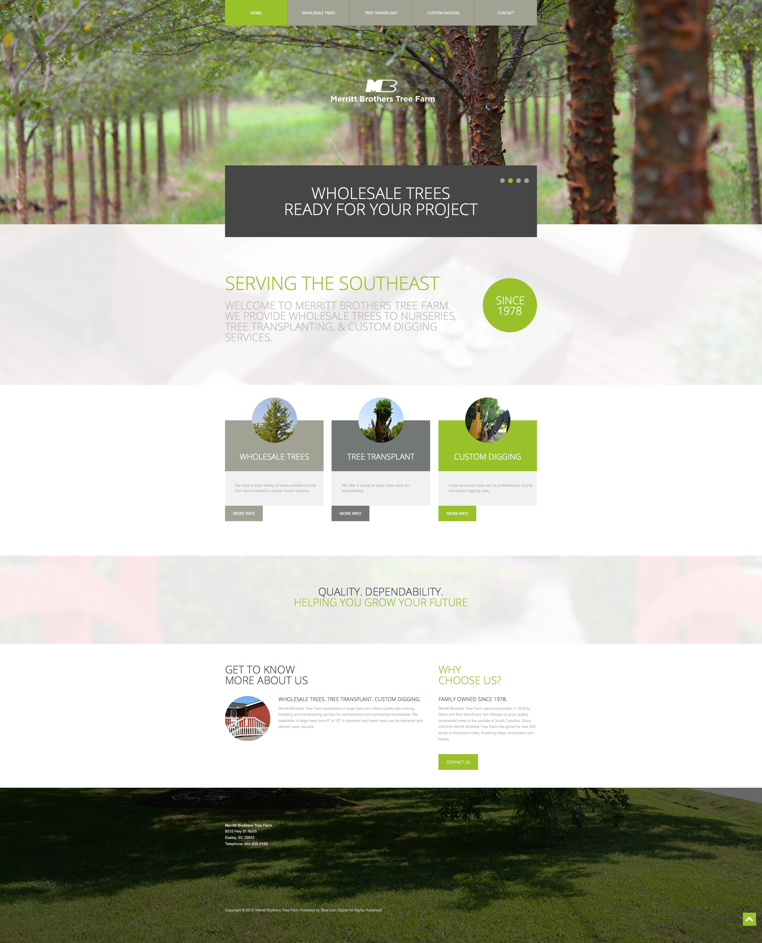 Web Design for Merritt Brothers Tree Farm.