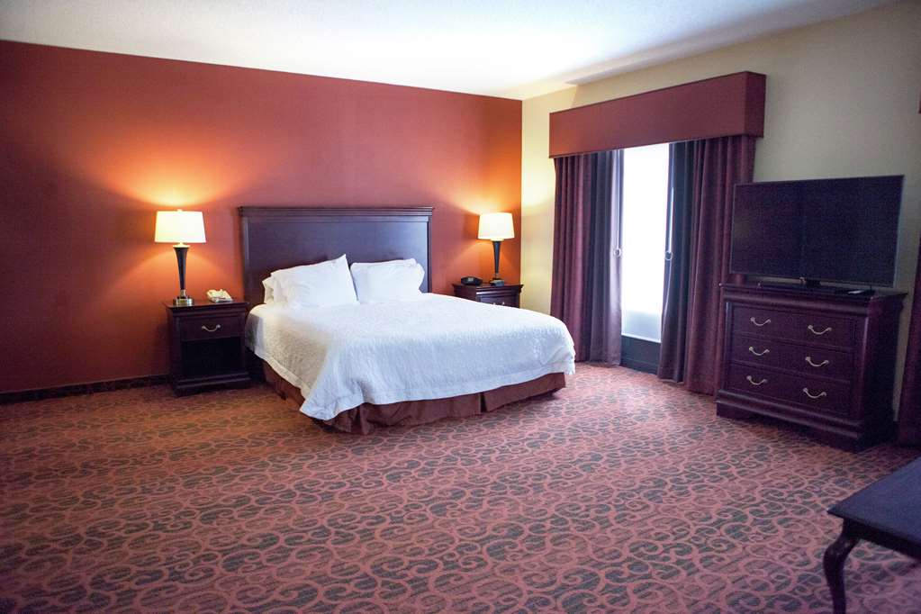 Hampton Inn Rochester-Webster Image