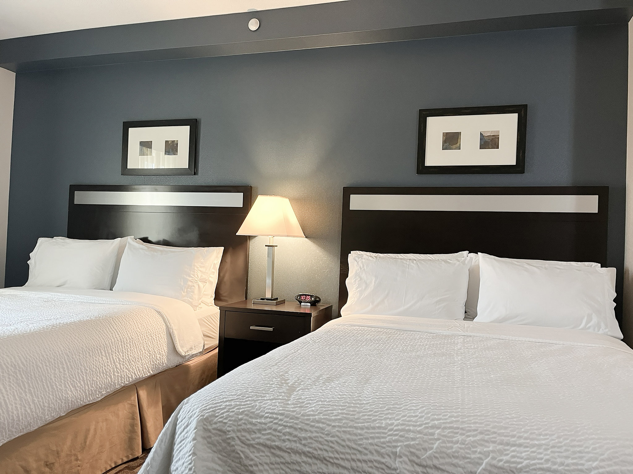 Holiday Inn Express & Suites Morton Peoria Area by IHG Image