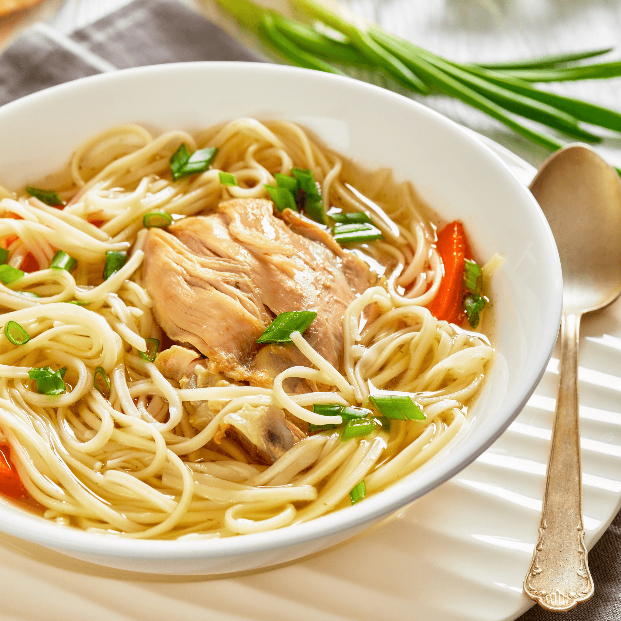 Sliced Chicken Noodle Soup