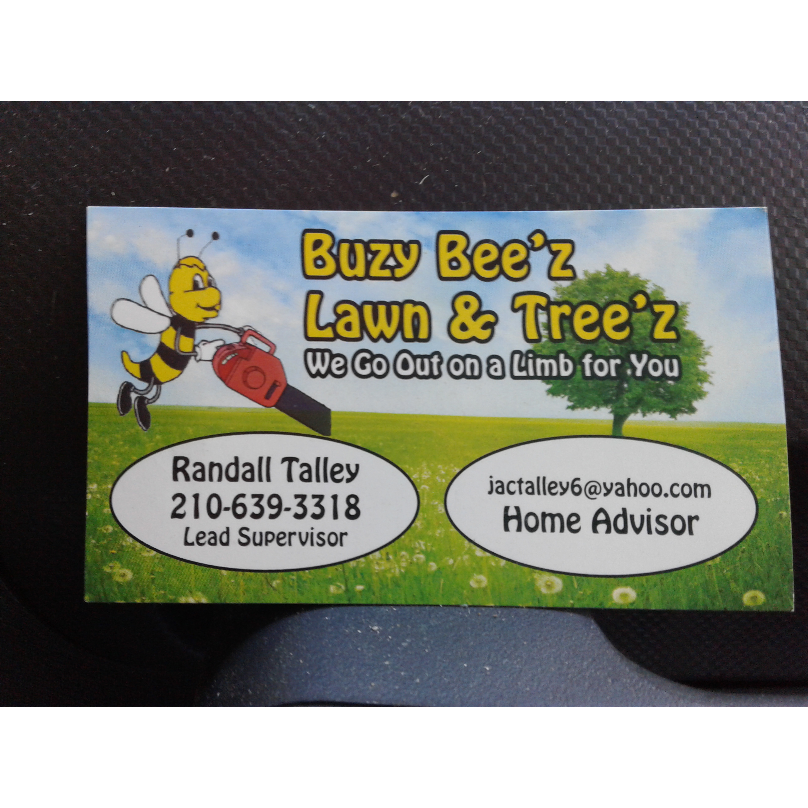 Buzy Beez Lawn & Treez