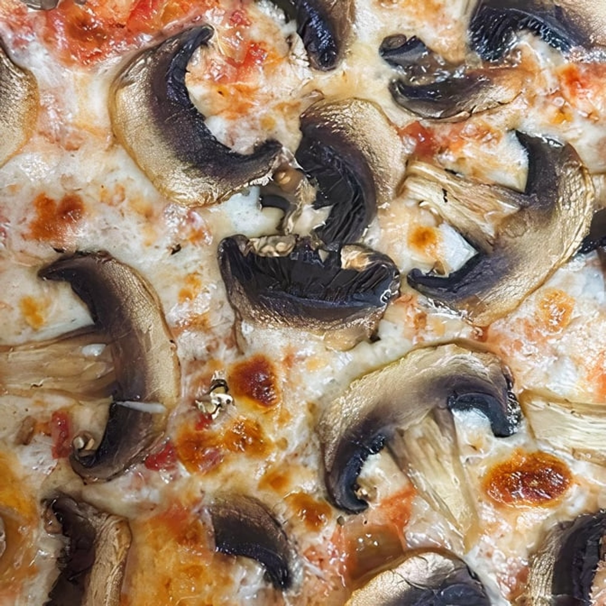 Mushroom Truffle Pizza