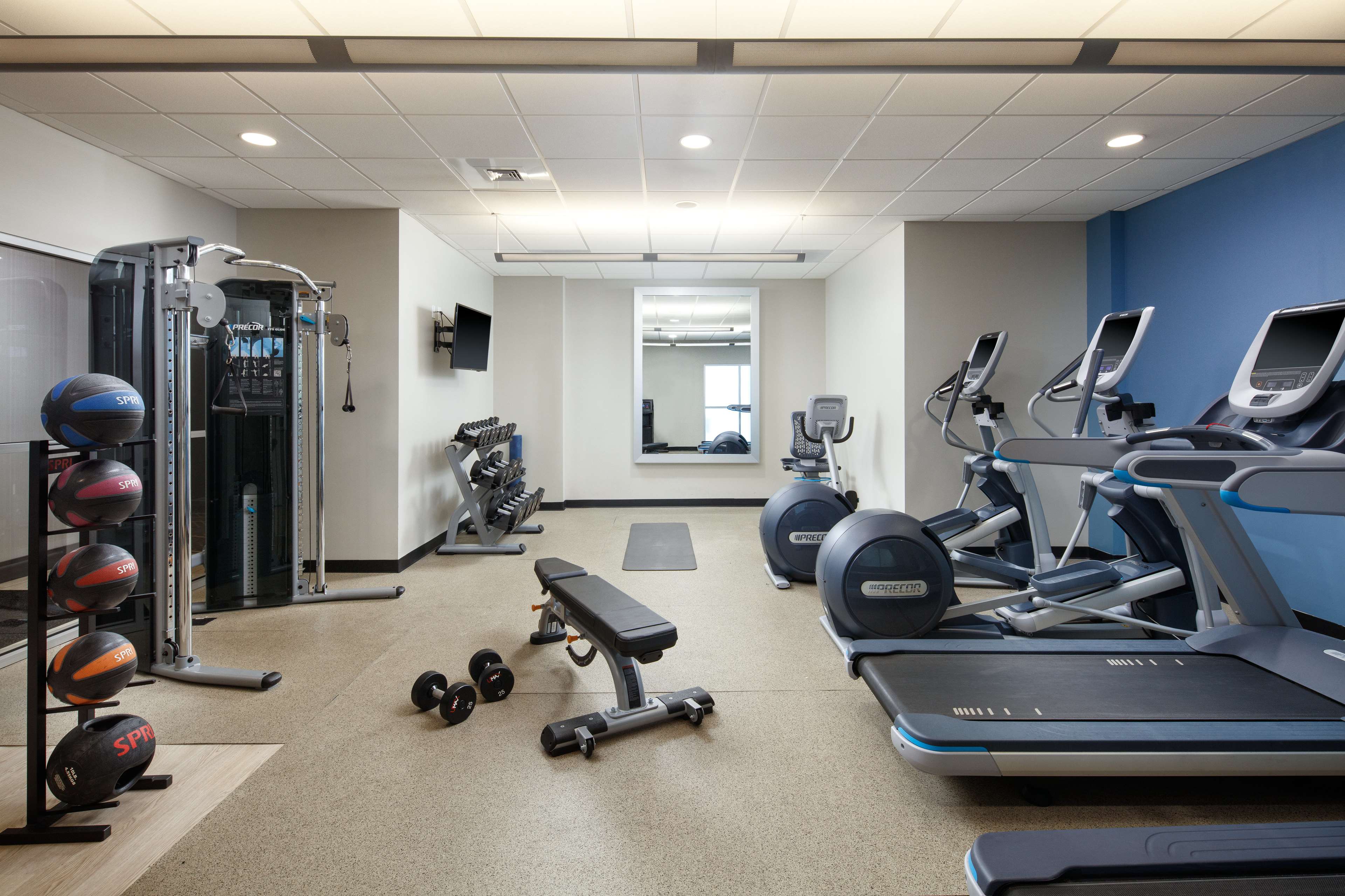 Health club  fitness center  gym