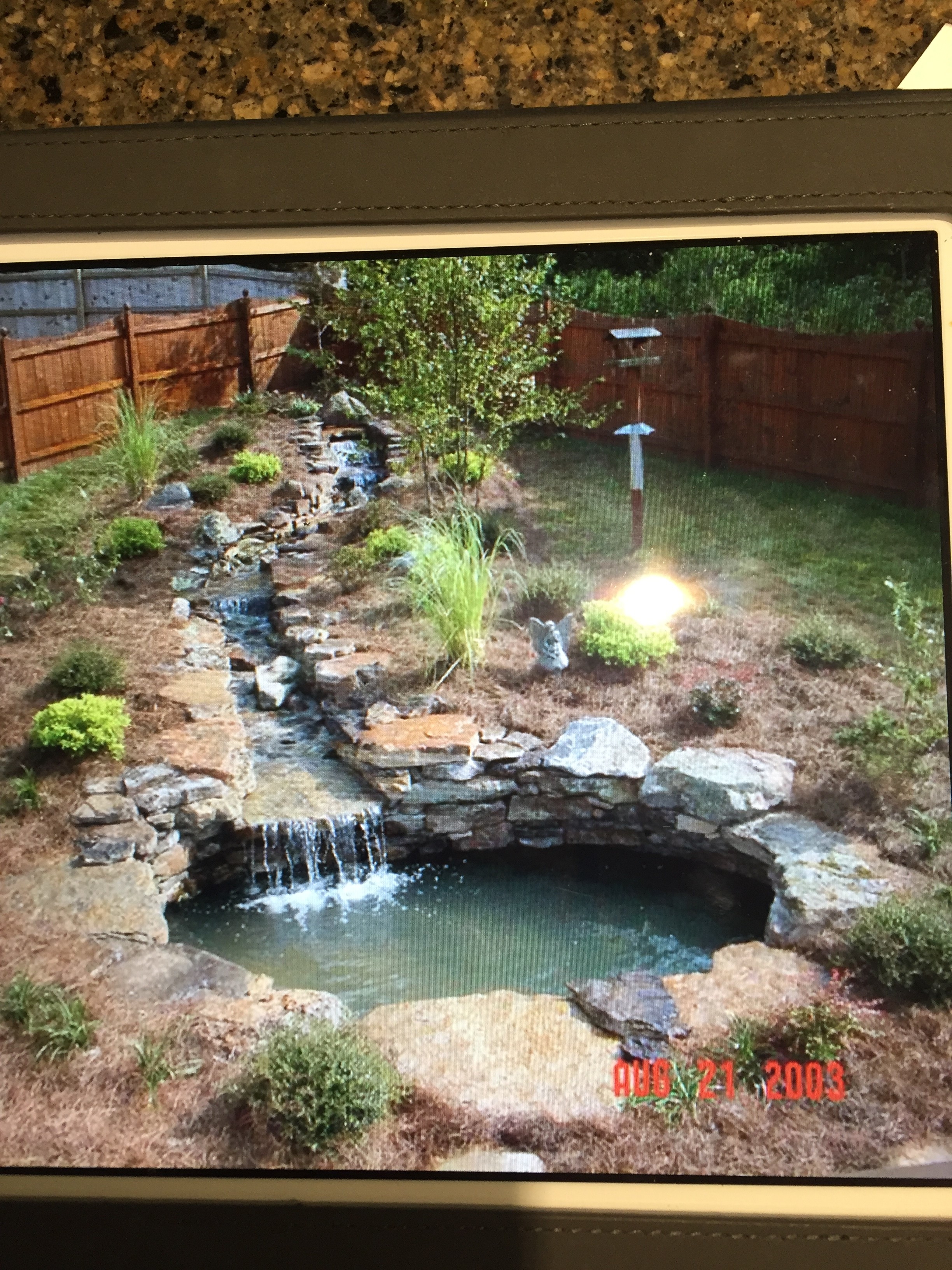 Ponds By David Coupons near me in | 8coupons