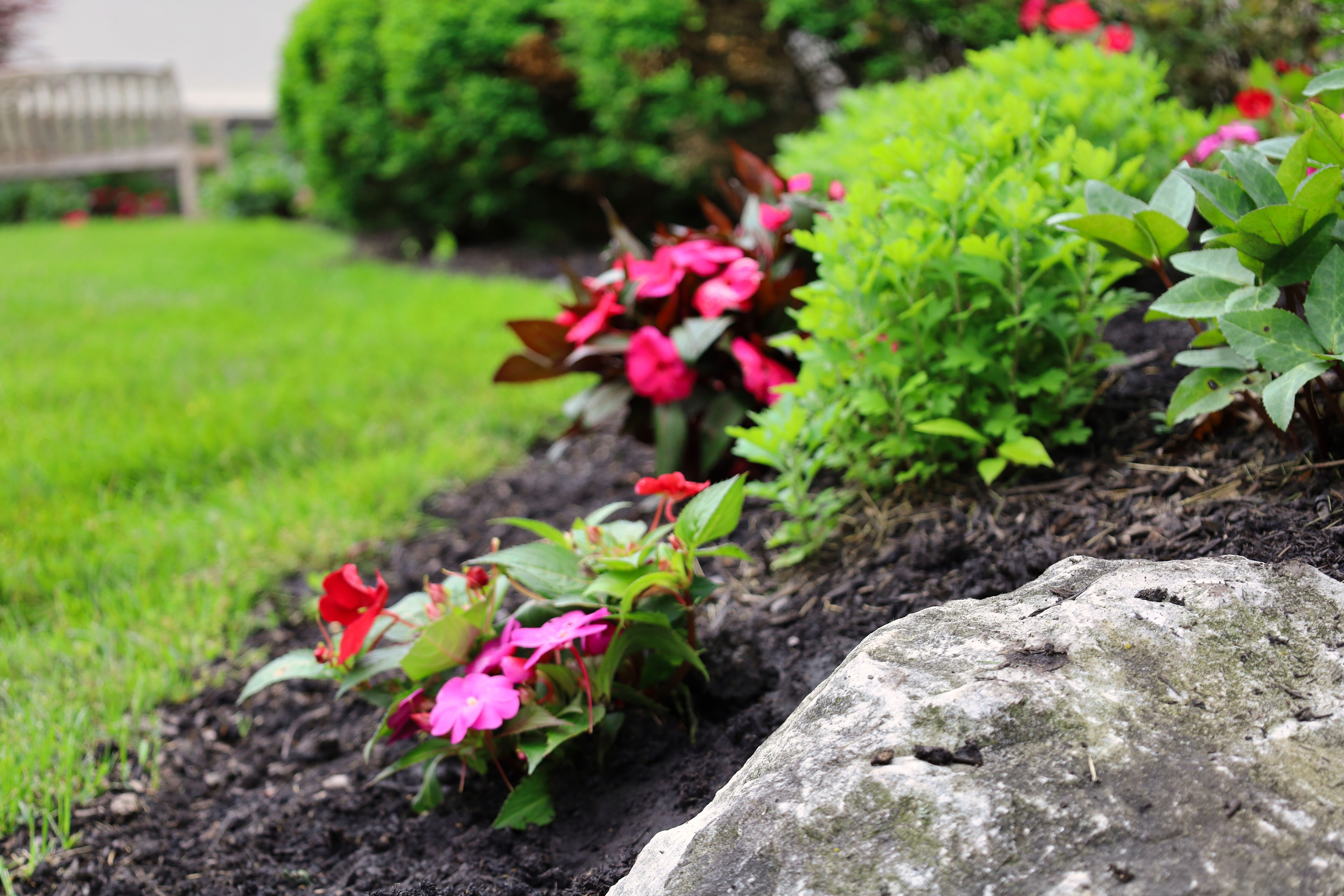 Oakwood Lawn & Landscaping Image