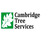 Cambridge Tree Sevices Cambridge