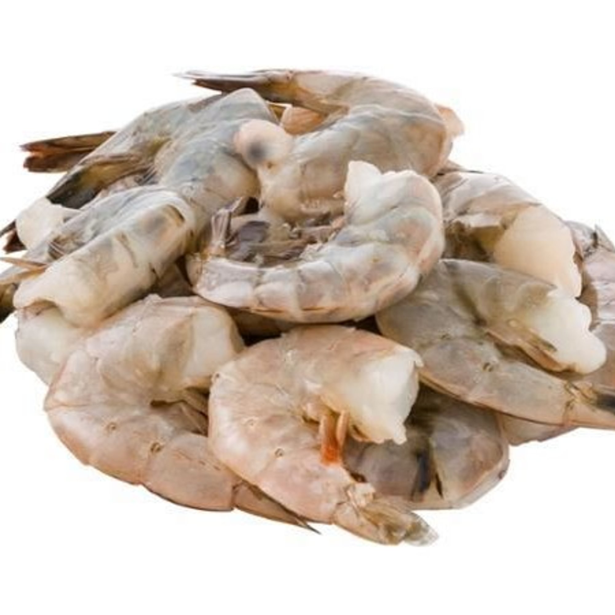 Shrimp 虾
