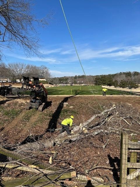 Georgia Tree Company Image