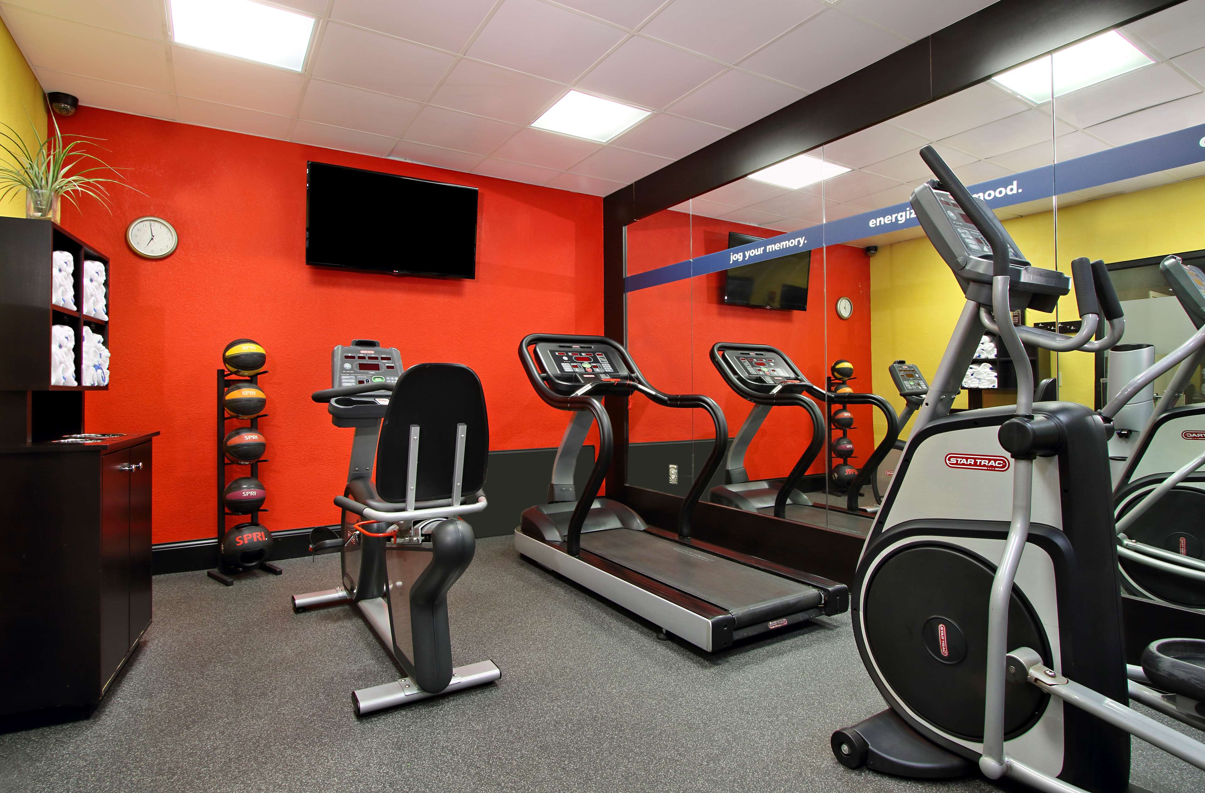 Health club  fitness center  gym