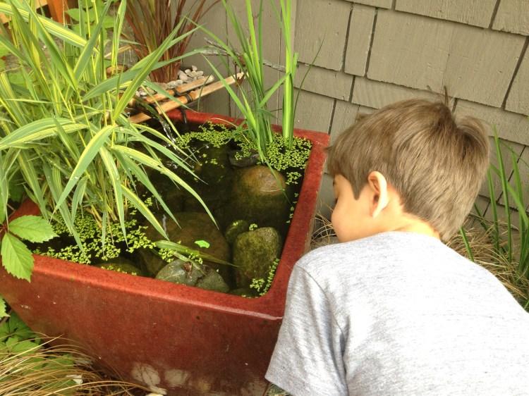 Urban Nature Preschool Photo