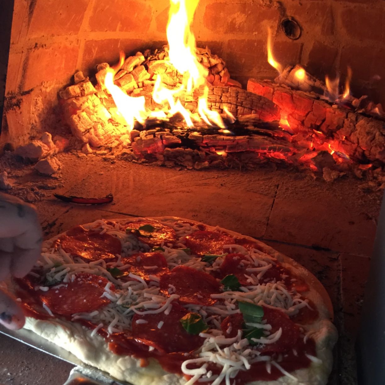 Pizza oven coupon