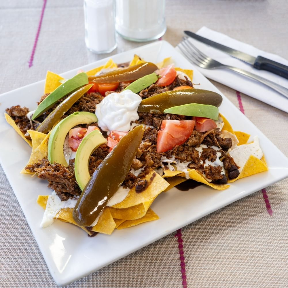 Birria Nachos