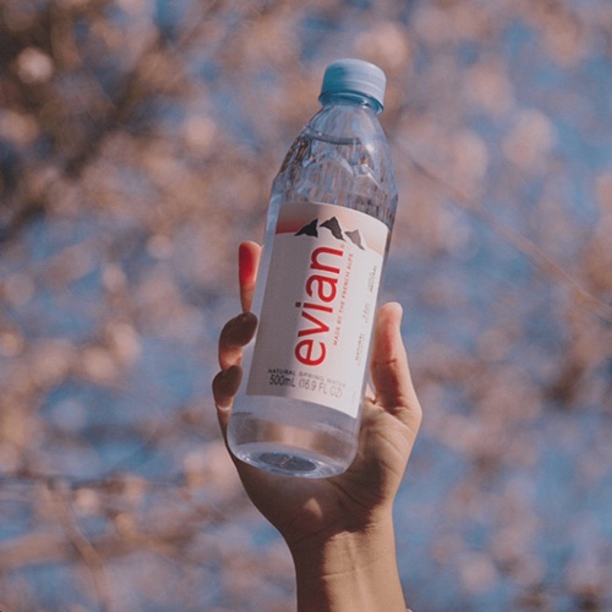 evian (Natural Spring Water)