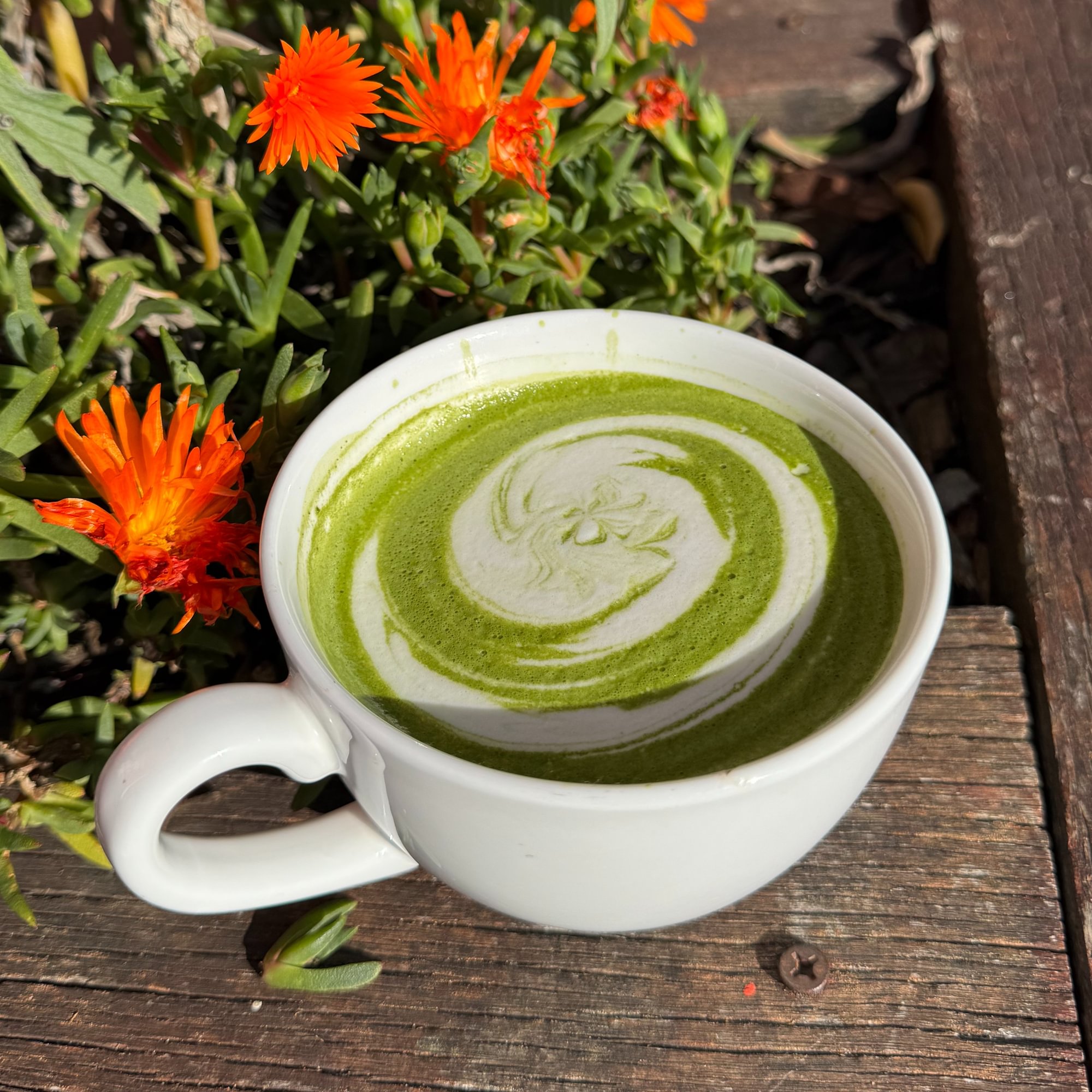 Matcha Latte