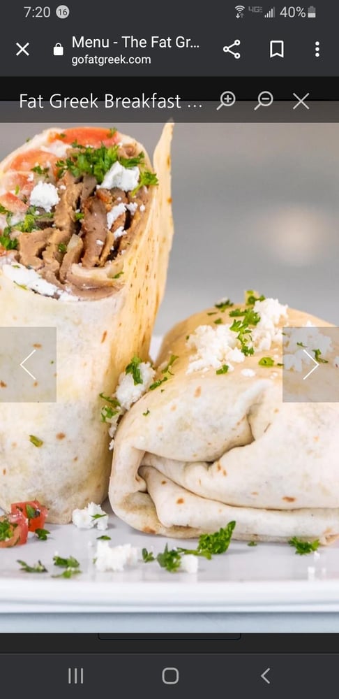 Falafel Burrito