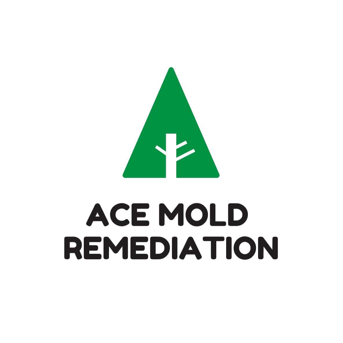 Ace Mold Remediation Clarksville