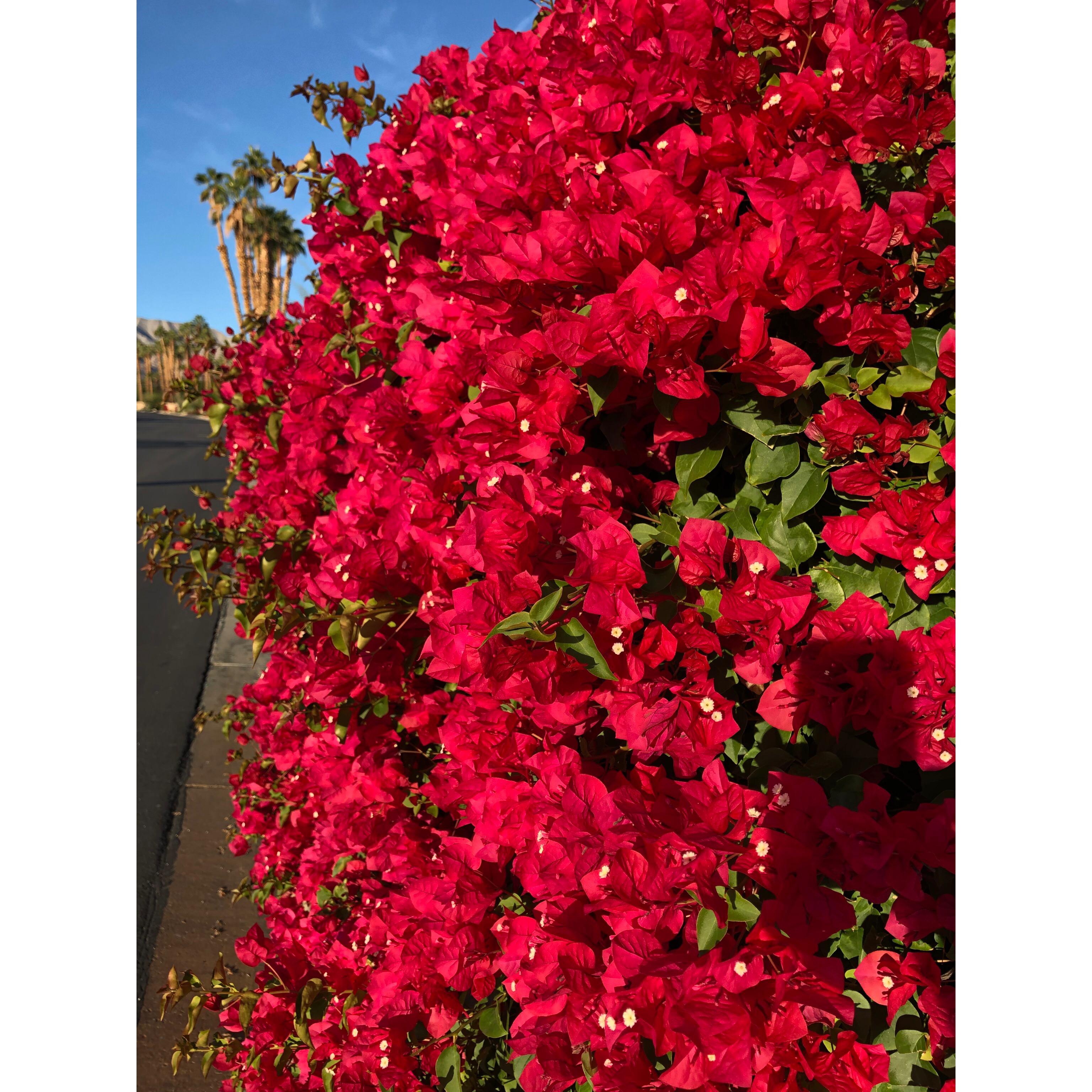 Moller’s Garden Center Image