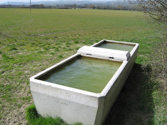 Stock Tank