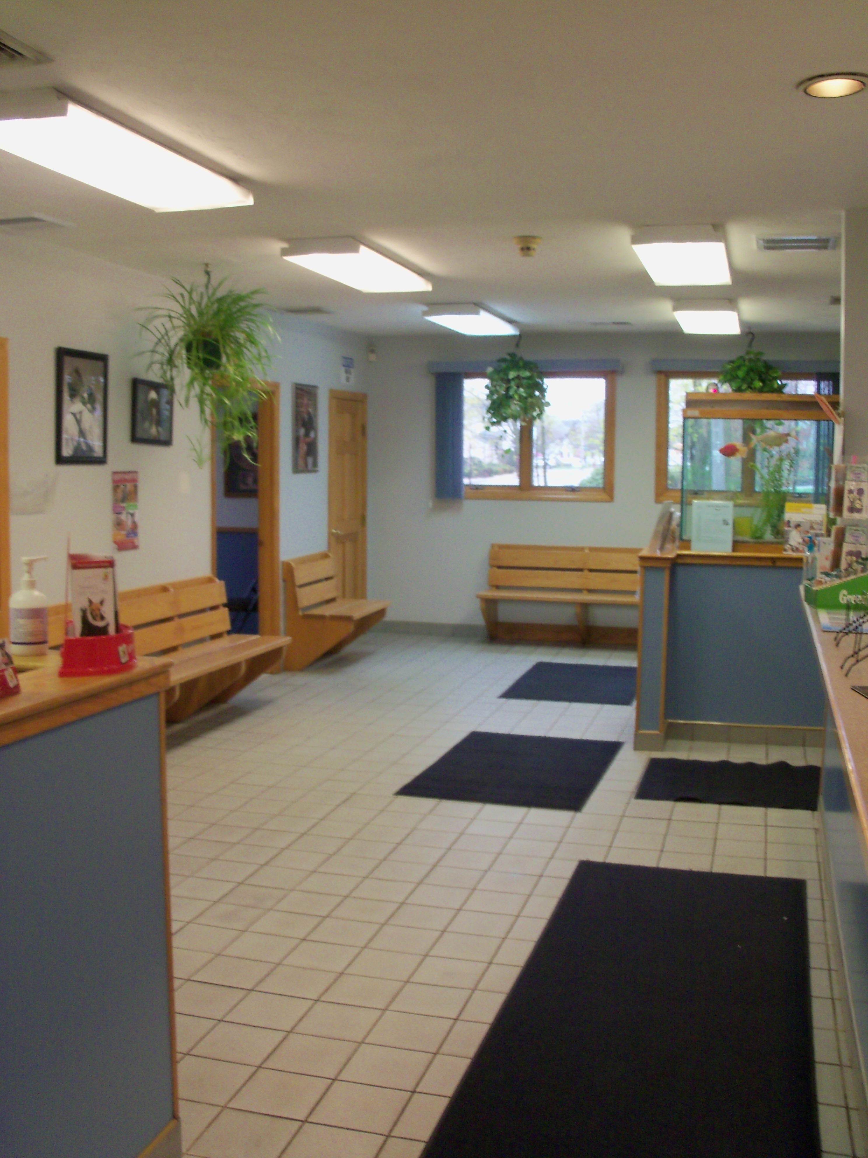 VCA North Main Street Veterinary Clinic Photo