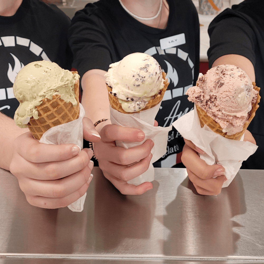 Large Gelato (8oz)