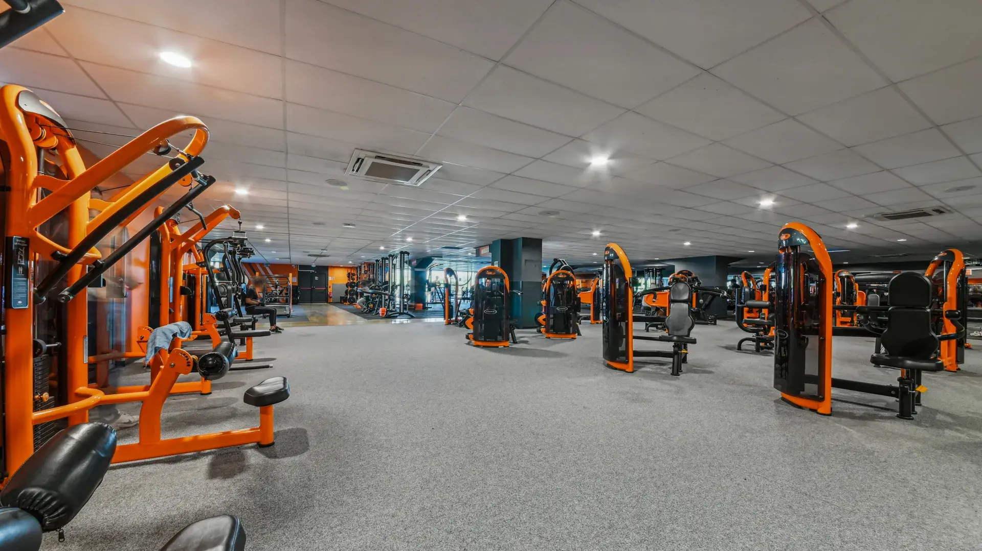 Miniature de la galerie