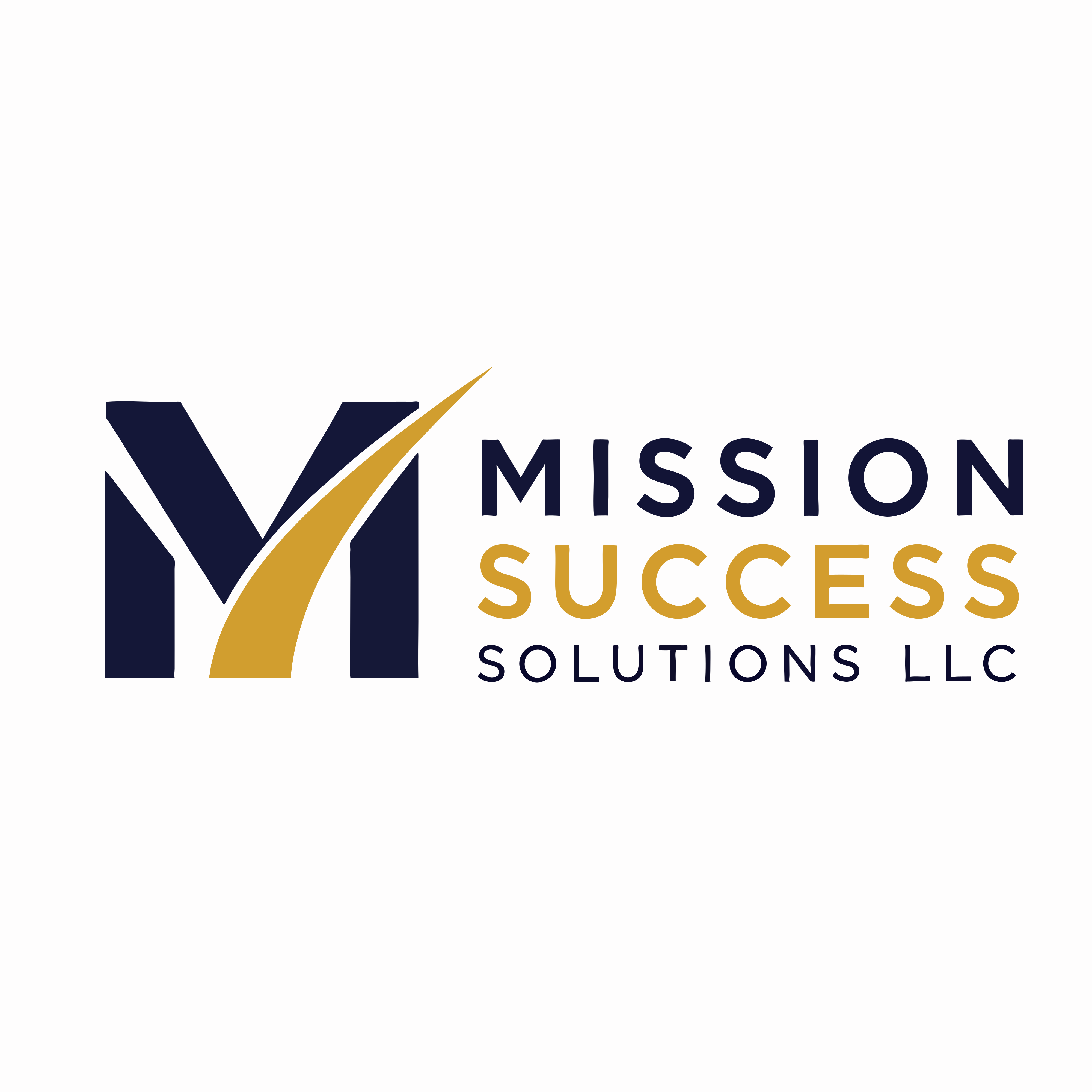 Mission Success Solutions LLC