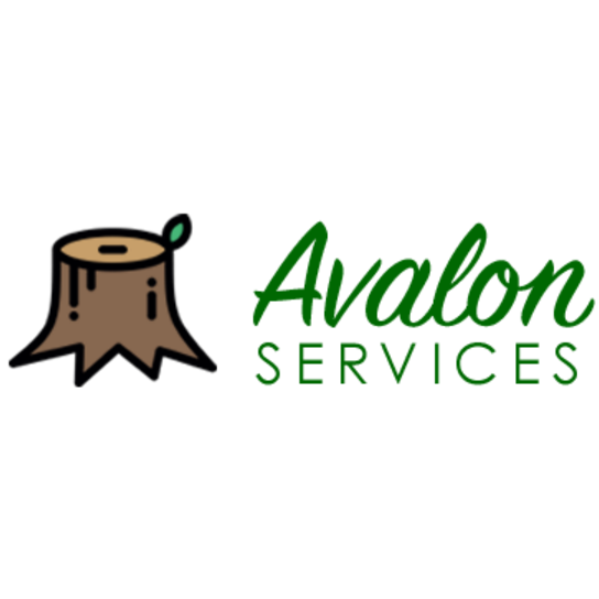 Avalon Services Logo