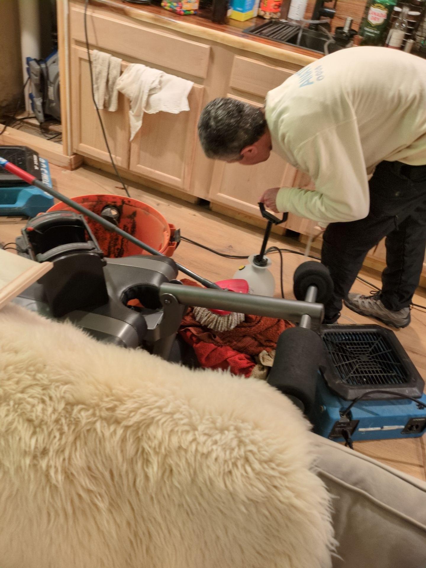 Anatom Restoration Image