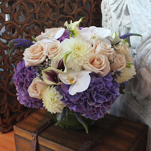 Monsoon Flowers Photo