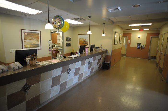 VCA Lakewood Animal Hospital Photo