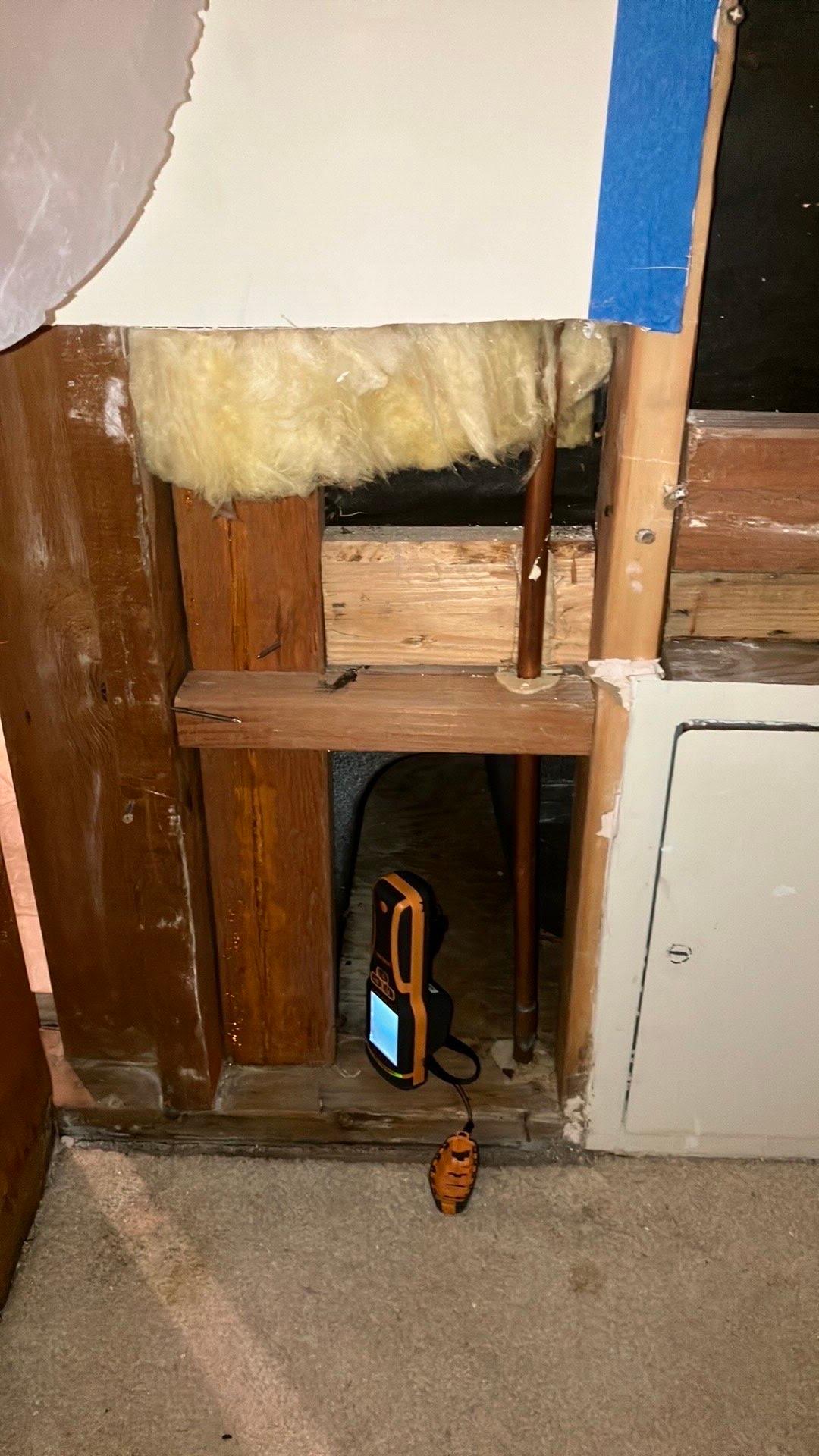PureAir Mold Testing of Santa Clarita