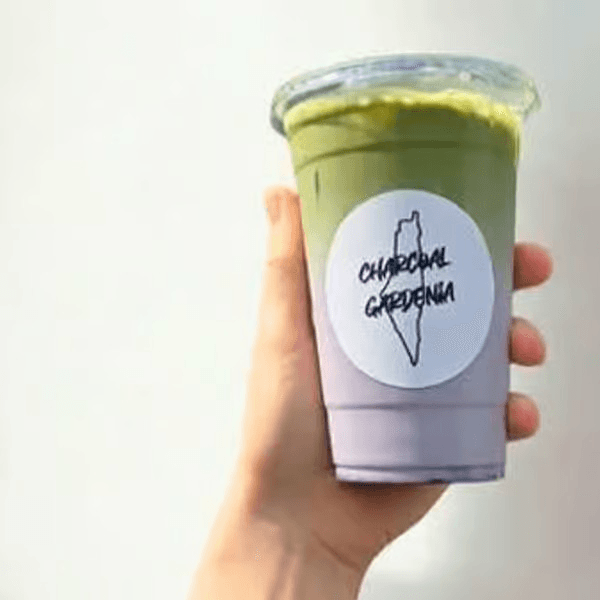 Iced Matcha Latte