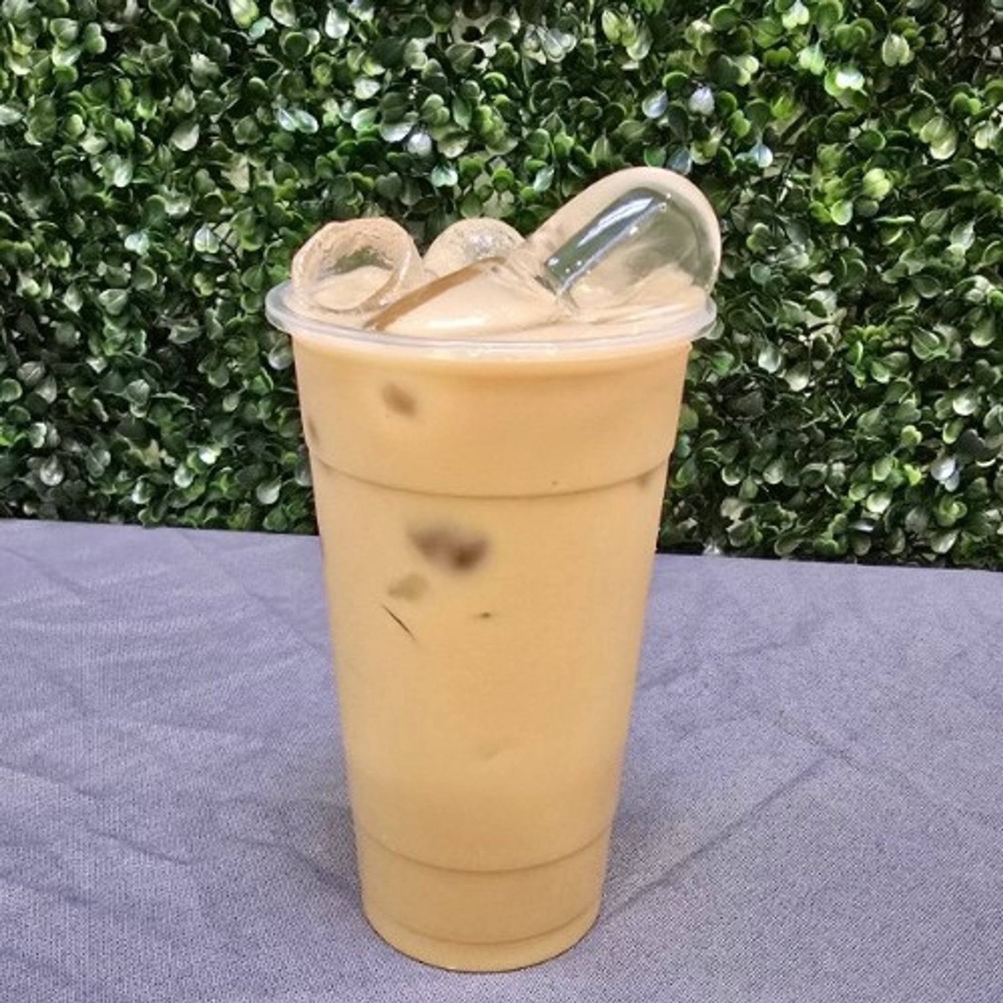 Jasmine Milk Tea