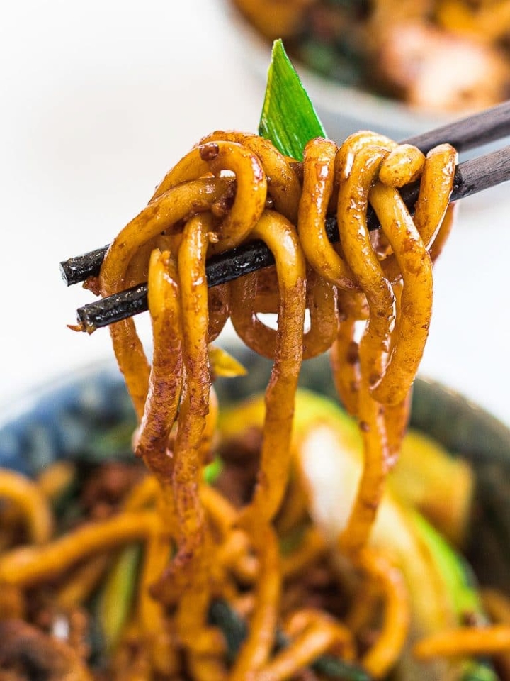 Japanese Udon Noodles