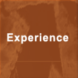 Foley Investigations, Law Searchers, Dublin