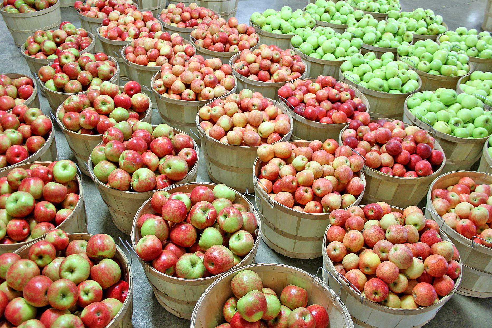 Hillcrest Orchard of Walnut Creek Ltd. Image