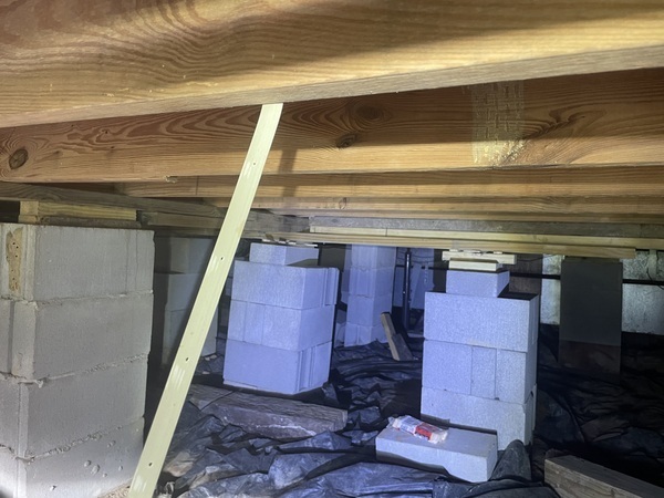 Ox Foundation Solutions Image