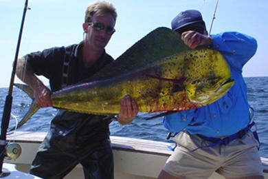Images Captain Art's Fishing Charters