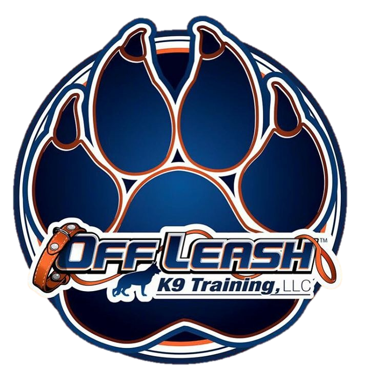 Off Leash K9 Training, Fredericksburg