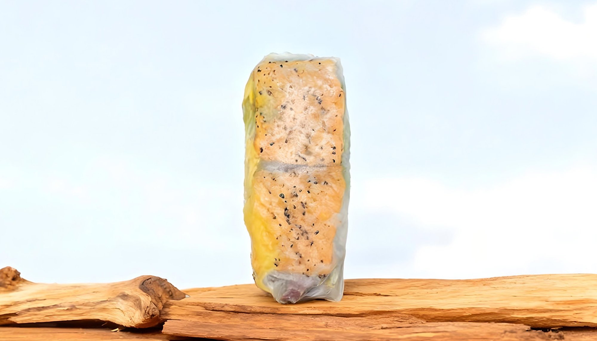 Grilled Salmon + Avocado Rice Paper Roll