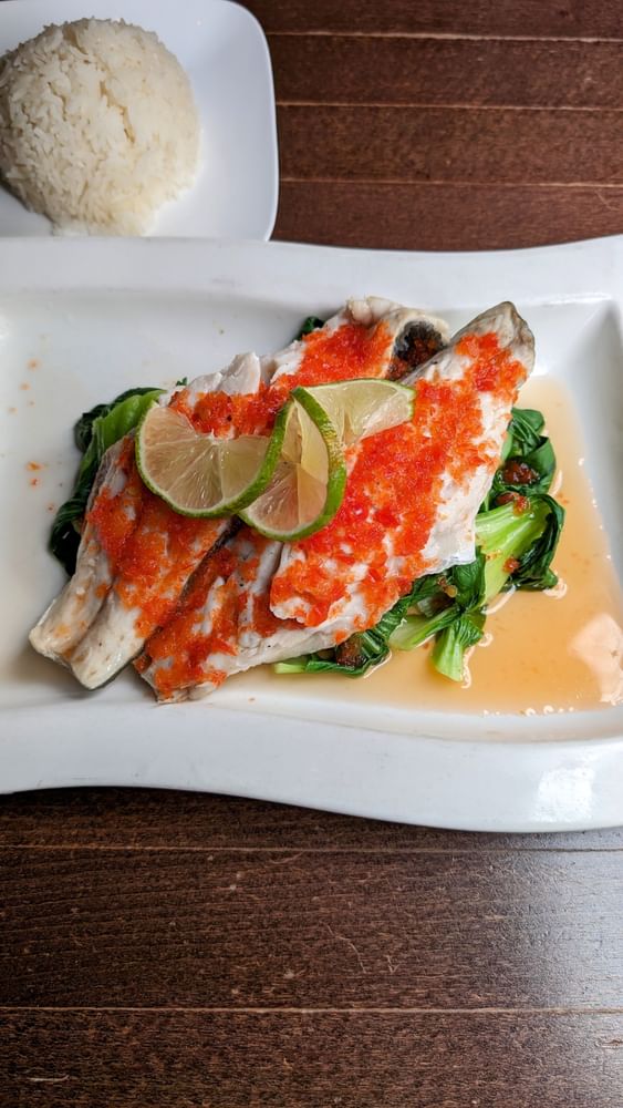 Lime Fish Lover