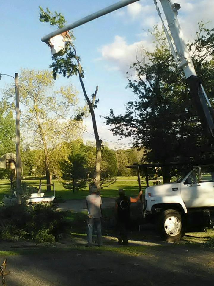 Hackney Tree Service Image