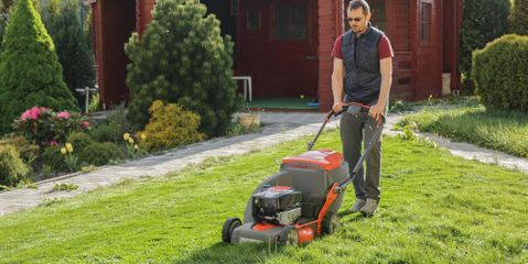 5 Ways to Keep Your Lawn Safe This Summer