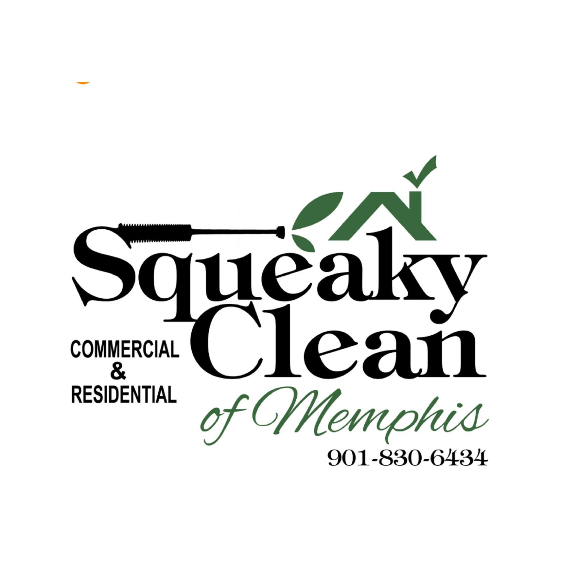 Squeaky Clean of Memphis