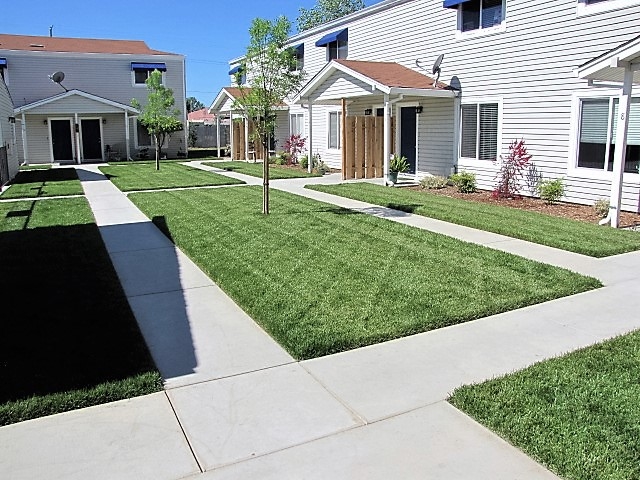 Early Bird's Landscaping Photo